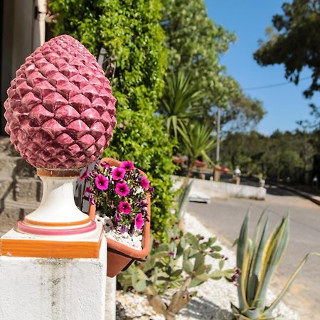 קלטג'ירונה Agriturist Soleluna מראה חיצוני תמונה